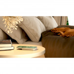 Zens Powerbank Pro 1 Slim 5.000 mAh Vit