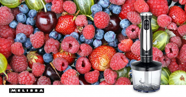 MELISSA Stavmixer med hackare visp kopp 600W Svart / Rostfritt stål