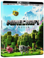 A MINECRAFT MOVIE