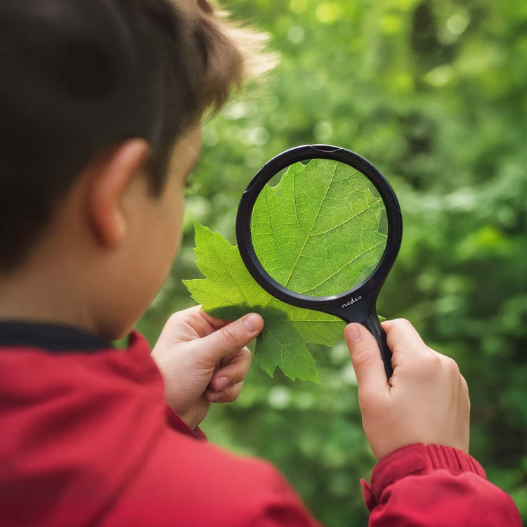 Nedis Handhållna förstoringsglas | Linsstyrka: 4 Diopter | 10000 K | 0.05 W | 9 lm | Svart
