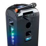 Lenco Trådlös mikrofon med 6,3 mm batteridriven mottagare