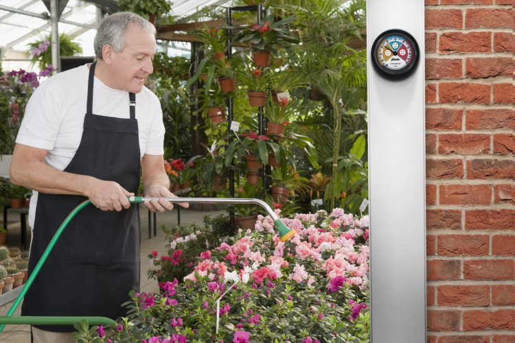 Alecto Analog hygrometer Svart