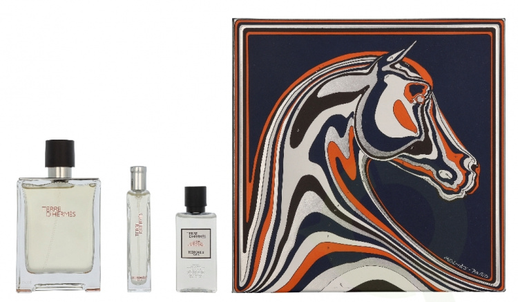 Hermes Terre D\'Hermes Giftset 155 ml Edt Spray 100 ml/After Shave Lotion 40 ml/Edt Spray 15 ml