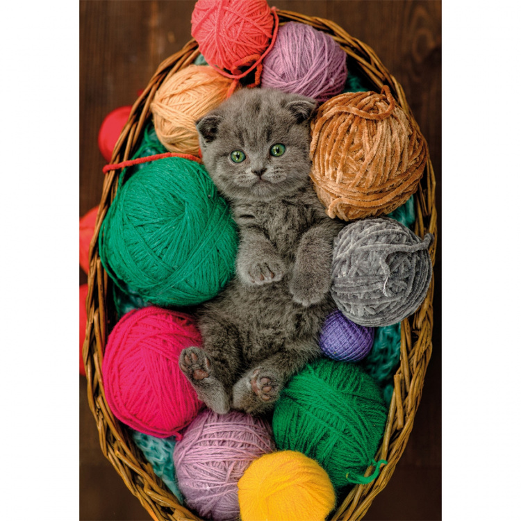 Clementoni Pussel 500 Pcs CB High Quality Collection Fluffy Kitten