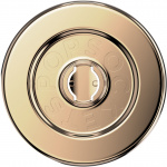 PopSockets Popgrip MagSafe Guld