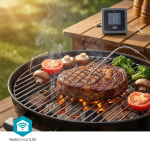 Nedis SmartLife Meat Thermometer | Bluetooth | 2 Probes