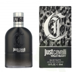 Roberto Cavalli Just Cavalli Wild Heart For Him Edt Spray 30 ml