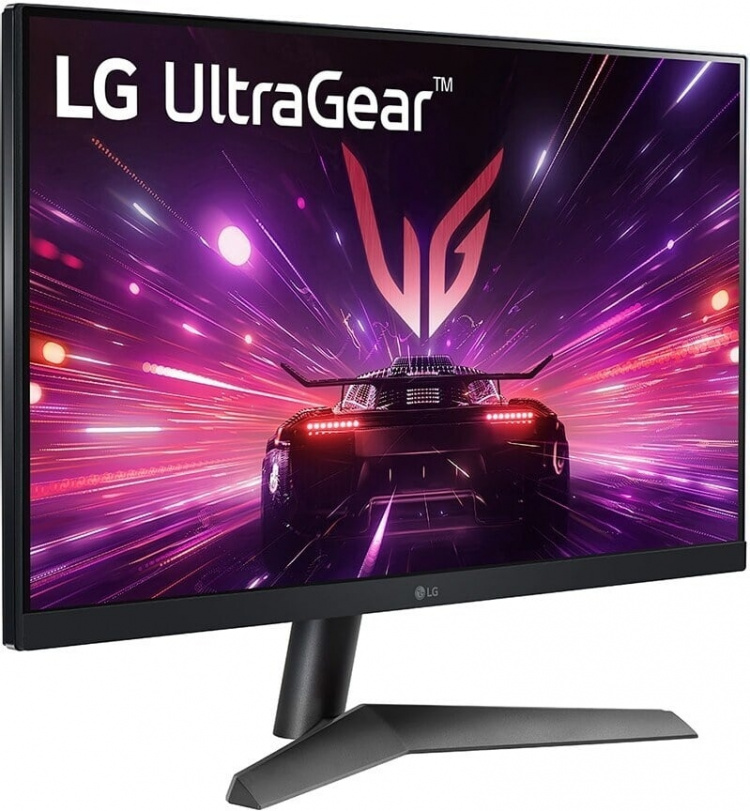 LG Electronics LG UltraGear 24GS60F-B 24-tums FHD-spelskärm