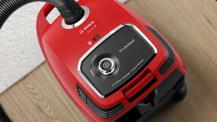 Bosch Dammsugare BGL6PET3 Bosch