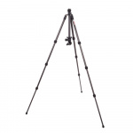 3 Legged Thing PUNKS BILLY 2.0 Tripod Kit Black/Black
