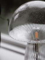 Globen Lighting Bordslampa Fungo 30 Special Edition Klar Globen Lighting