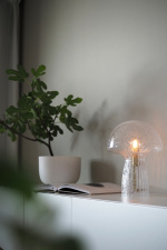 Globen Lighting Bordslampa Fungo 22 Special Edition Klar Globen Lighting