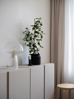Globen Lighting Bordslampa Fungo 22 Special Edition Klar Globen Lighting