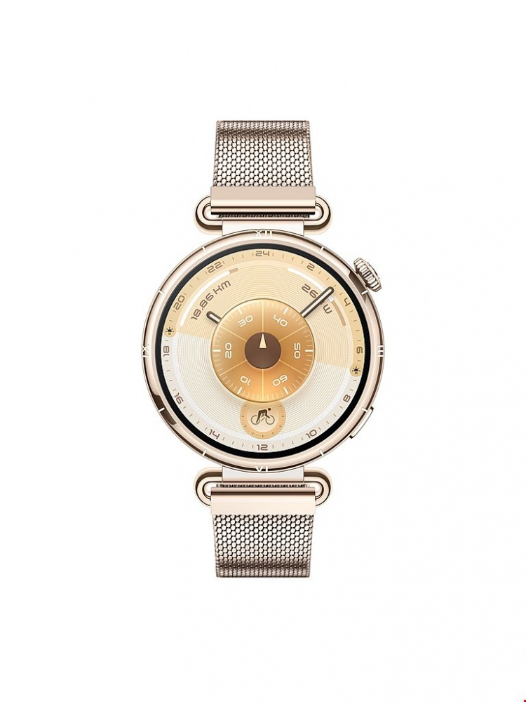 Huawei Watch GT 6 41mm - Gold