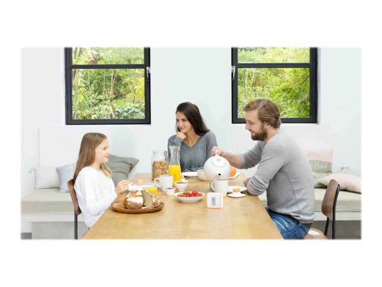 Netatmo Smart Thermostat NTH01ENEU