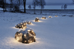 Konstsmide 64 LED 2 x 2 m
