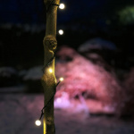 LightsOn Twinky 20m LightsOn